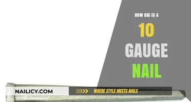 Understanding 10 Gauge Nail Size: Dimensions and Practical Applications