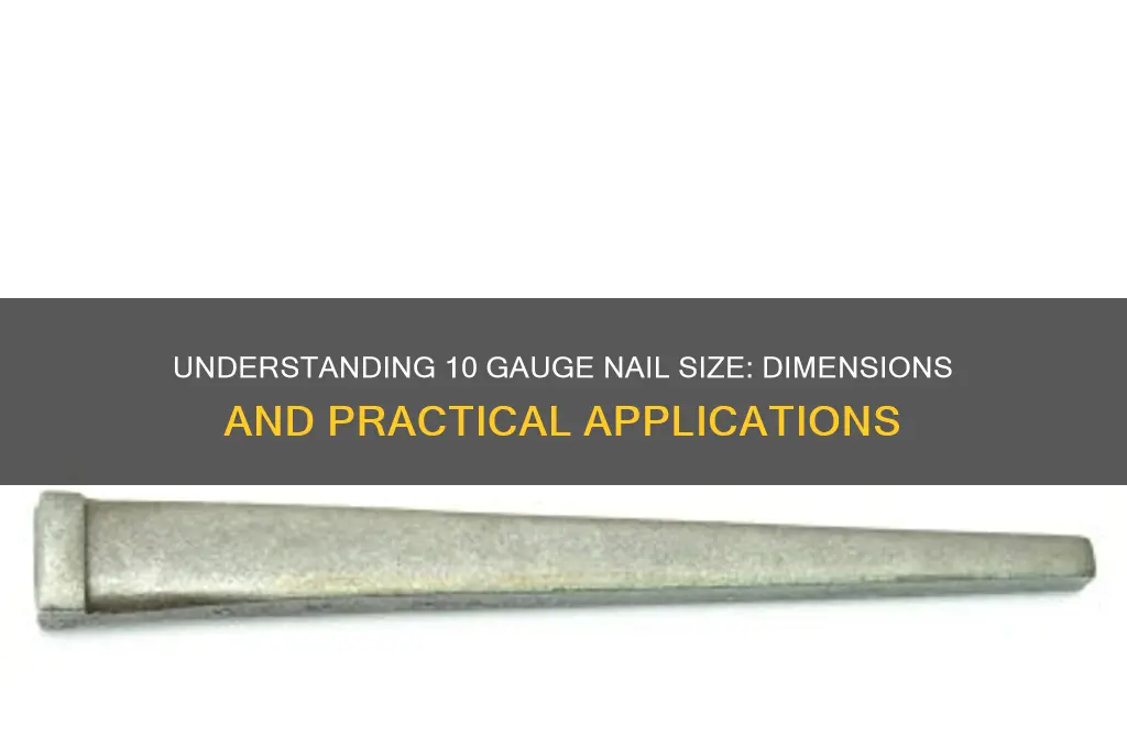how big is a 10 gauge nail