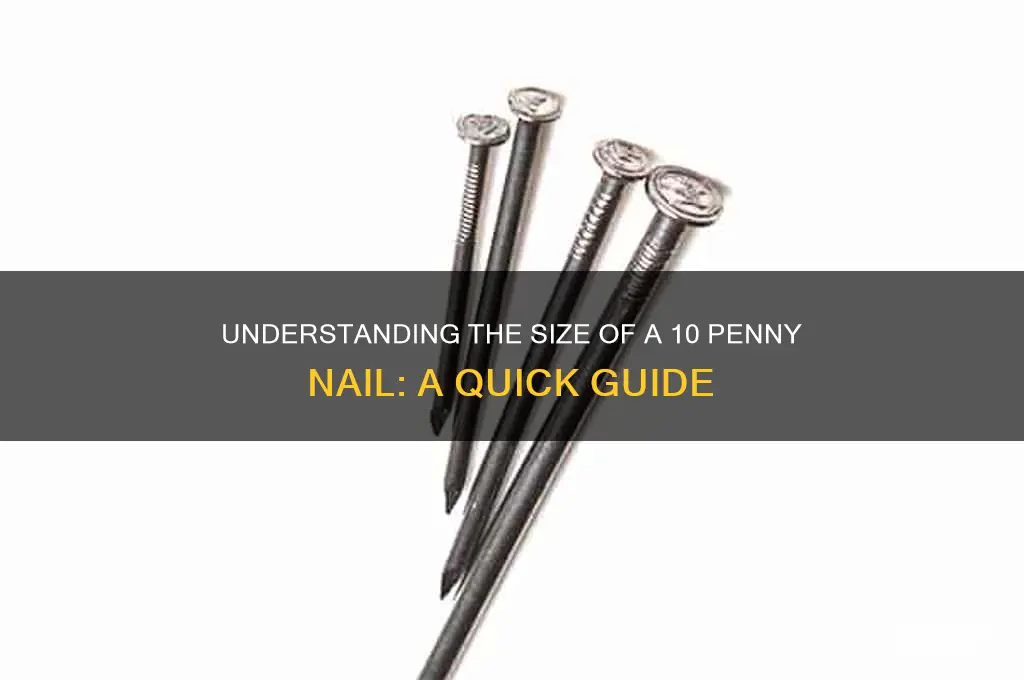 how big is a 10 penny nail