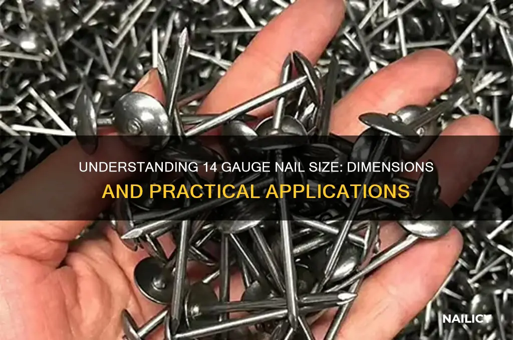 how big is a 14 gauge nail