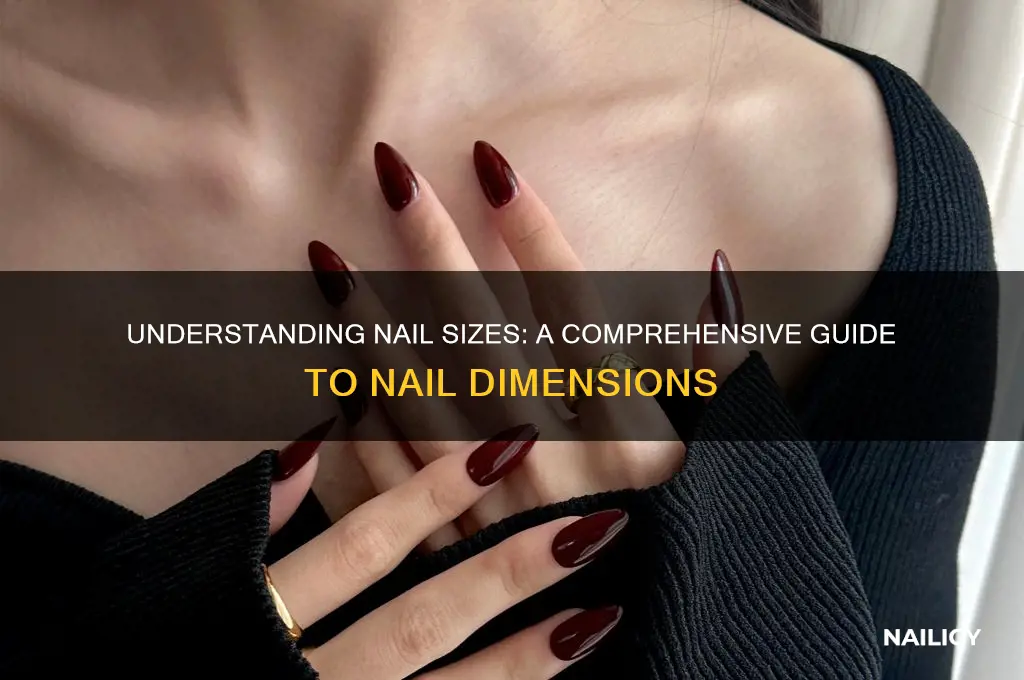 how big is a nail