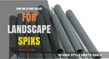 Choosing the Right Nail Puller for Landscape Spikes: A Guide