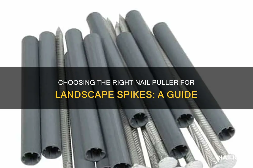 how big of nail puller for landscape spiks