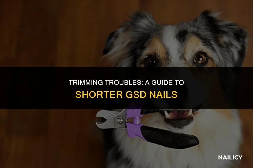 how can i get my gsd nails shorter