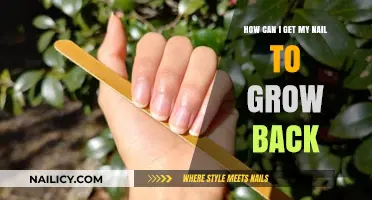 Nail Growth Revival: Tips and Tricks for Healthy Nails