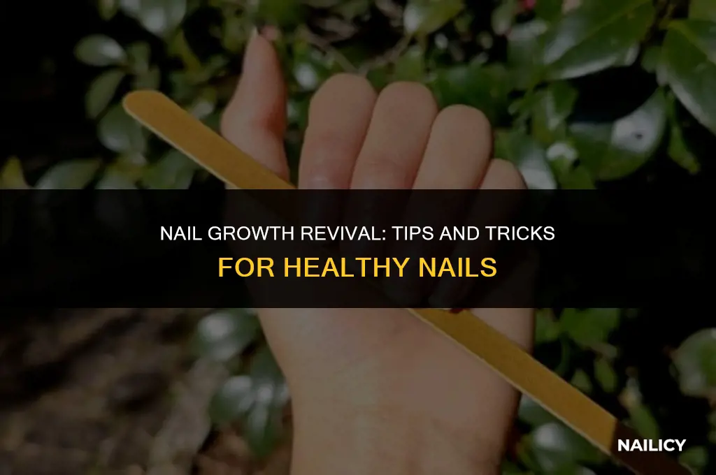 how can i get my nail to grow back