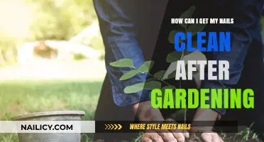 Garden-Fresh Hands: Tips for Cleaning Your Nails After Gardening