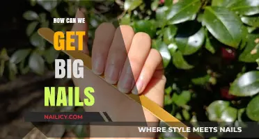 Achieving Gorgeous Length: A Guide to Growing Big, Beautiful Nails