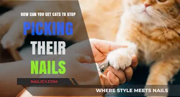 Gentle Paws: Helping Your Cat Overcome Nail Picking Habits