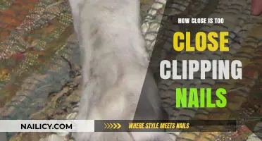 Clipping Nails: Finding the Perfect Length Without Going Too Close