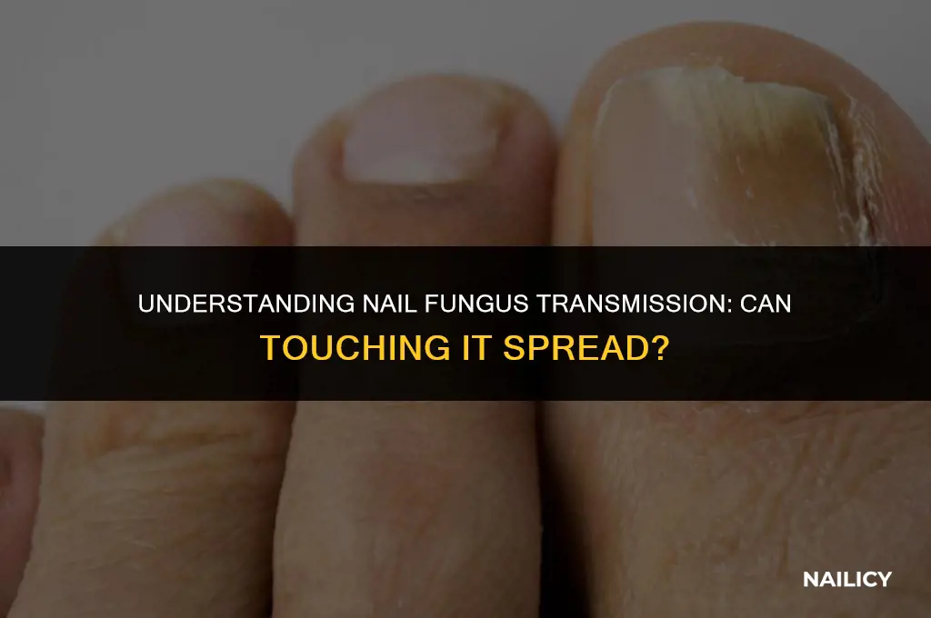 how cna you get nail fungus from touching it