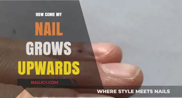 The Mystery of Nails Growing Upwards: An Explanation