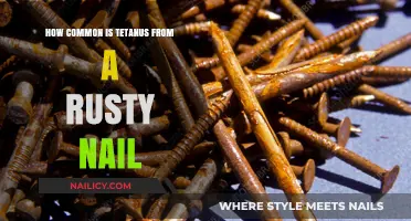Rusty Nails and Tetanus: Debunking Myths and Understanding Real Risks
