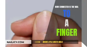 The Intricate Bond: Nails and Fingers Connection Explored