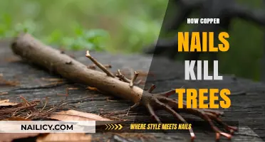 Copper Nails' Lethal Impact: How They Kill Trees Over Time