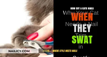 Calmly Trim Your Cat's Nails: A Step-by-Step Guide