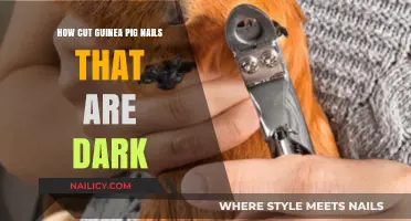 Trimming Dark Nails on Guinea Pigs: A Step-by-Step Guide