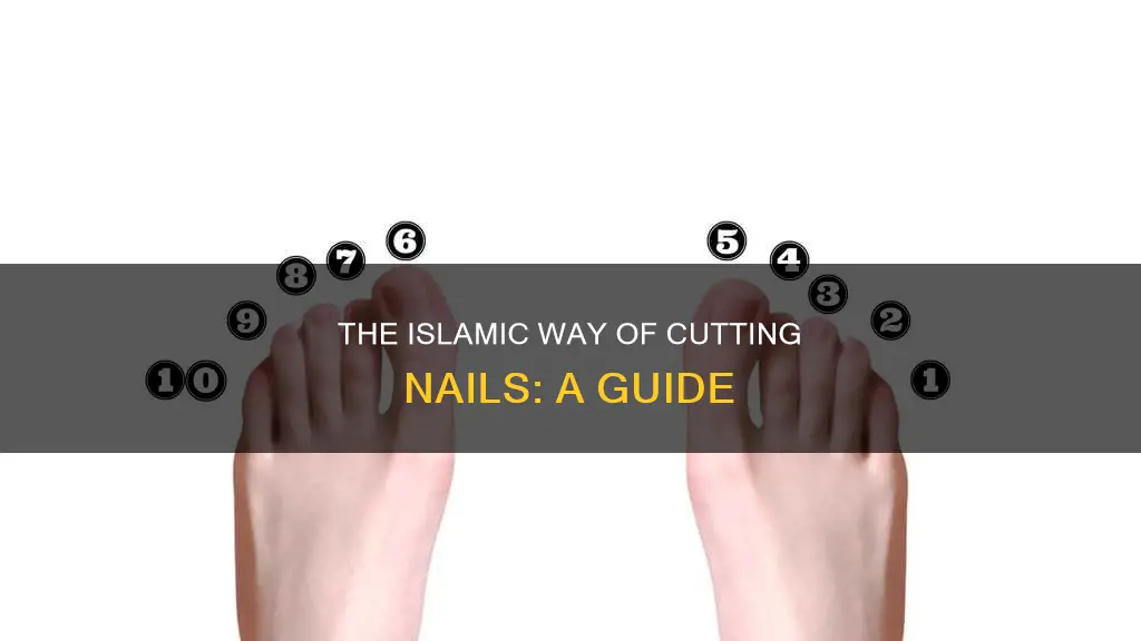 how cut nails in islamic way
