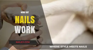 Cut Nails: How Do They Work?
