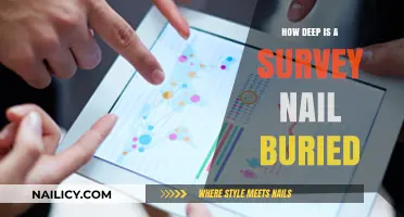 Survey Nail Depth: Uncovering the Standard Burial Measurement