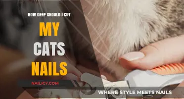 Trimming Your Cat's Nails: How Deep is Safe?