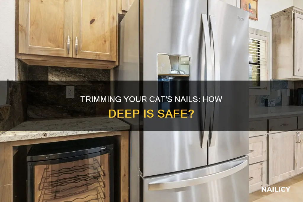 how deep should i cut my cats nails
