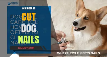 Trimming Dog Nails: How Deep is Too Deep?