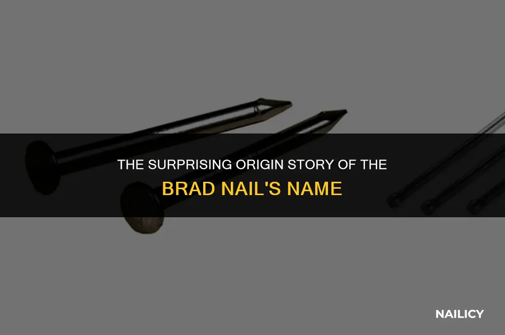 how did a brad nail get its name