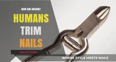 Trimming Nails: Ancient Humans' Creative Solutions