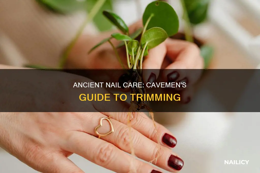 how did cavemen trim finger nails