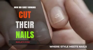 Early Humans' Nail-Cutting Solutions: A Creative Approach