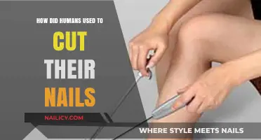 Ancient Nail Care: A Historical Look at How Humans Trimmed Their Nails