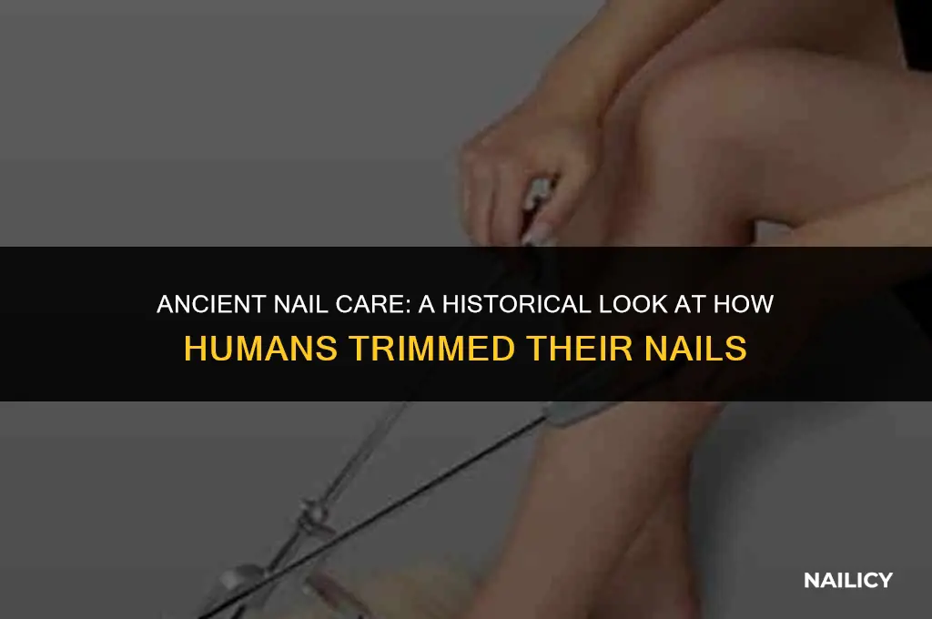 how did humans used to cut their nails