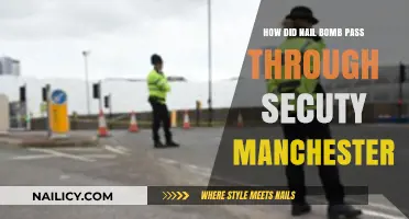 Manchester Arena Tragedy: How Did the Nail Bomb Bypass Security?