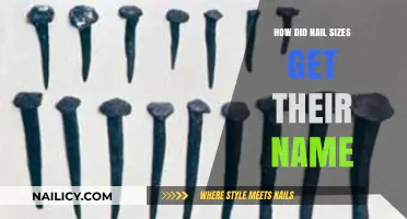 The Surprising Origins of Nail Sizes: A Historical Perspective