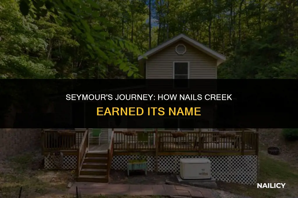 how did nails creek seymour get nam