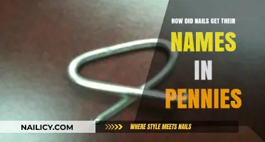 The Surprising Etymology Behind 'Pennies' and Their Nail Namesakes