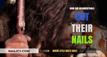 Neanderthal Nail Care: How Did They Manage?