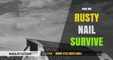 Rusty Nail's Survival Story: Unraveling the Mystery of His Resilience