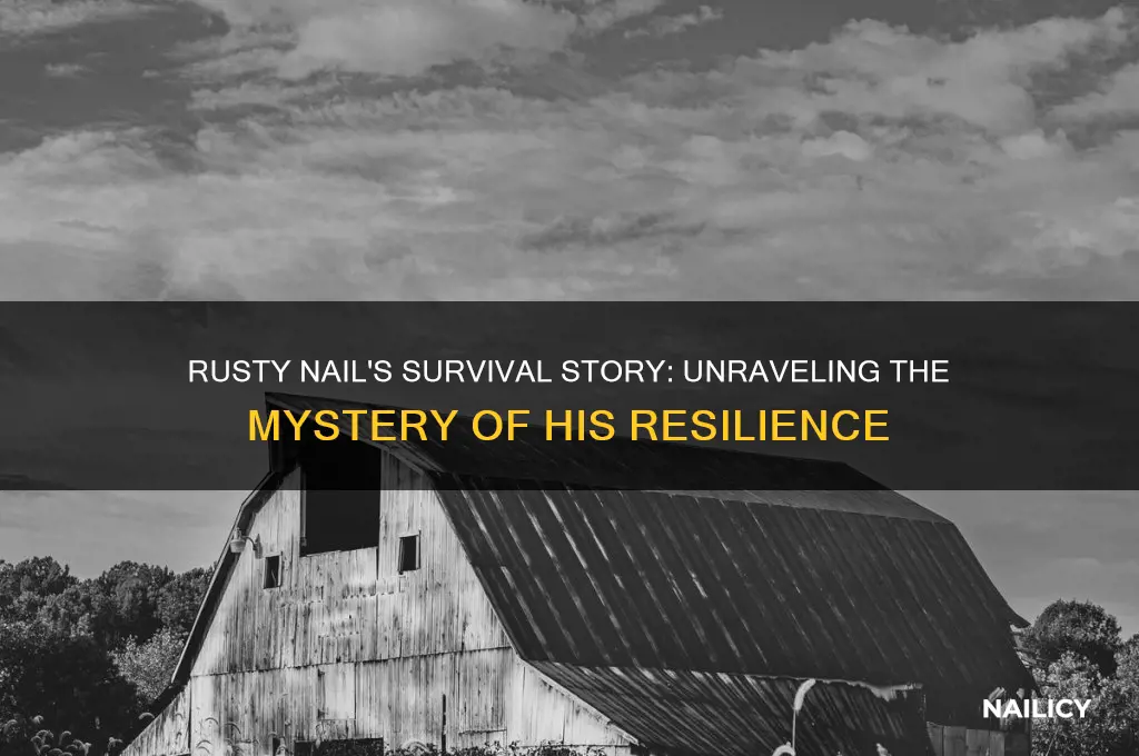 how did rusty nail survive