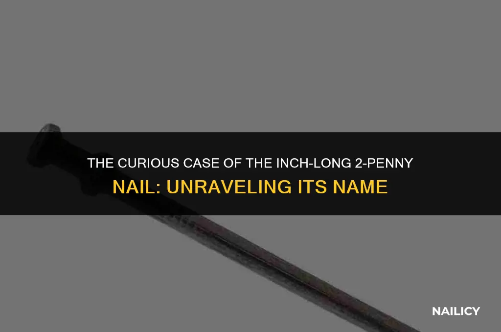 how did the inch-long 2-penny nail get its name