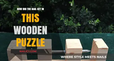 The Mysterious Case of the Nail in the Wooden Puzzle
