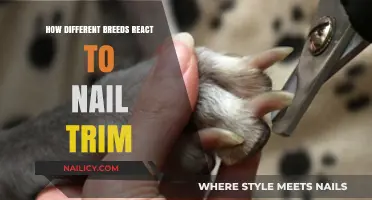 Nail Trim: Breed Reactions and Responses