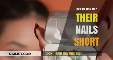 How Apes Naturally Maintain Short Nails in the Wild