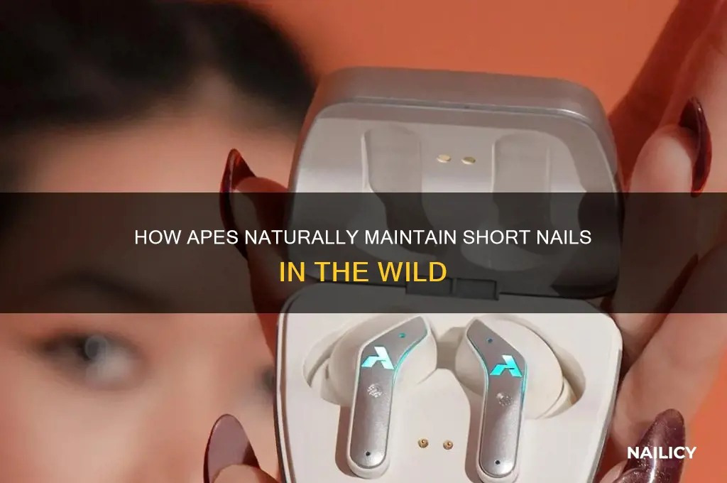 how do apes keep their nails short