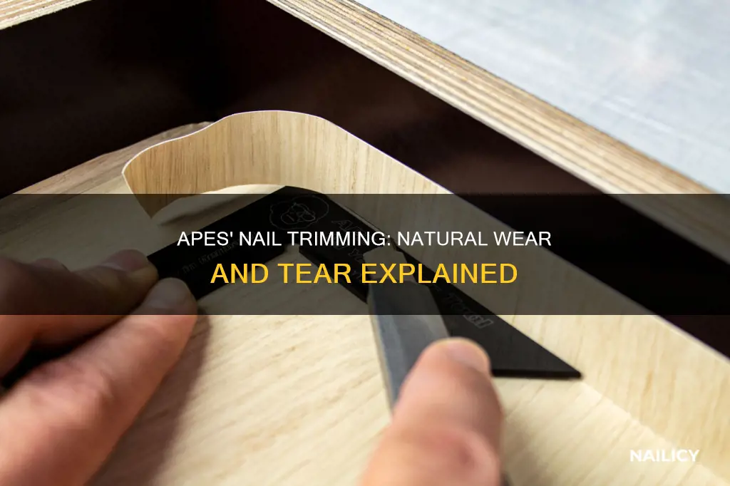 how do apes trim their nails
