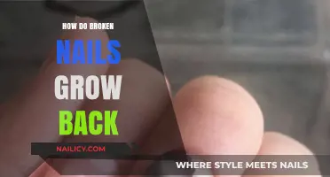 Heal and Regrow Your Nails After a Break