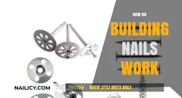 Understanding Building Nails: Function, Types, and Installation Techniques Explained