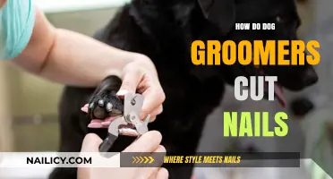 Dog Nail Clipping: Grooming Tips for Pet Owners