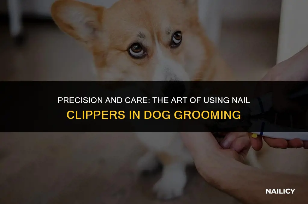 how do dog groomers use nail clippers